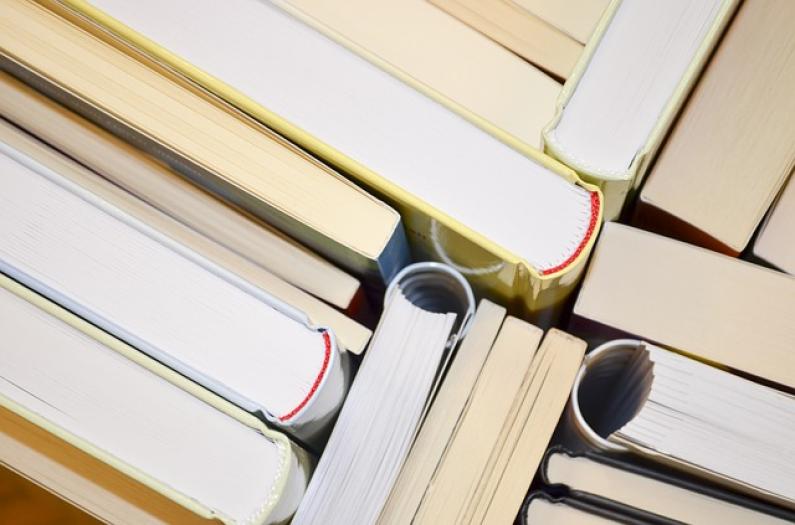 Brugermanual oversættelse teknisk-oversaettelse