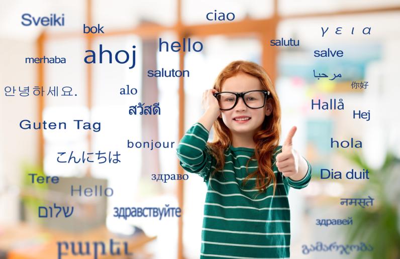 Flersprogethed og multisprogethed: Hvad er forskellene?