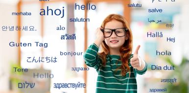 Flersprogethed og multisprogethed: Hvad er forskellene?