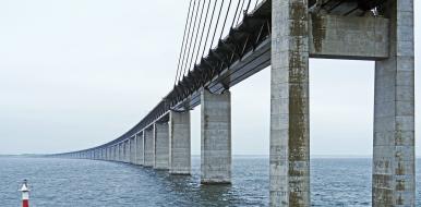 largest industries in Denmark