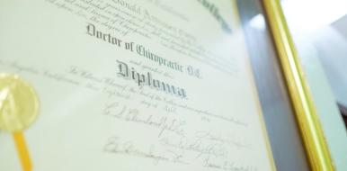 Diploma translation services: everything you need to know